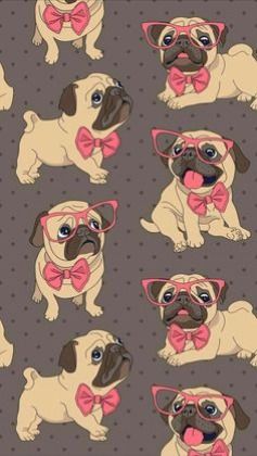 cute pug backgrounds 0046