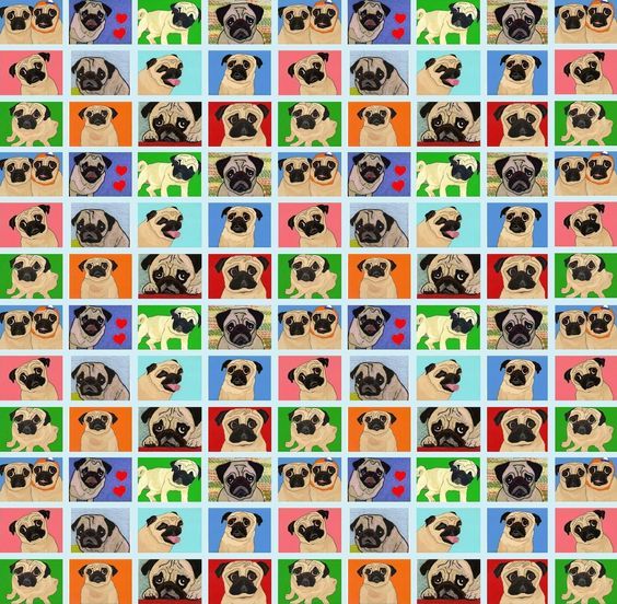 cute pug backgrounds 0059