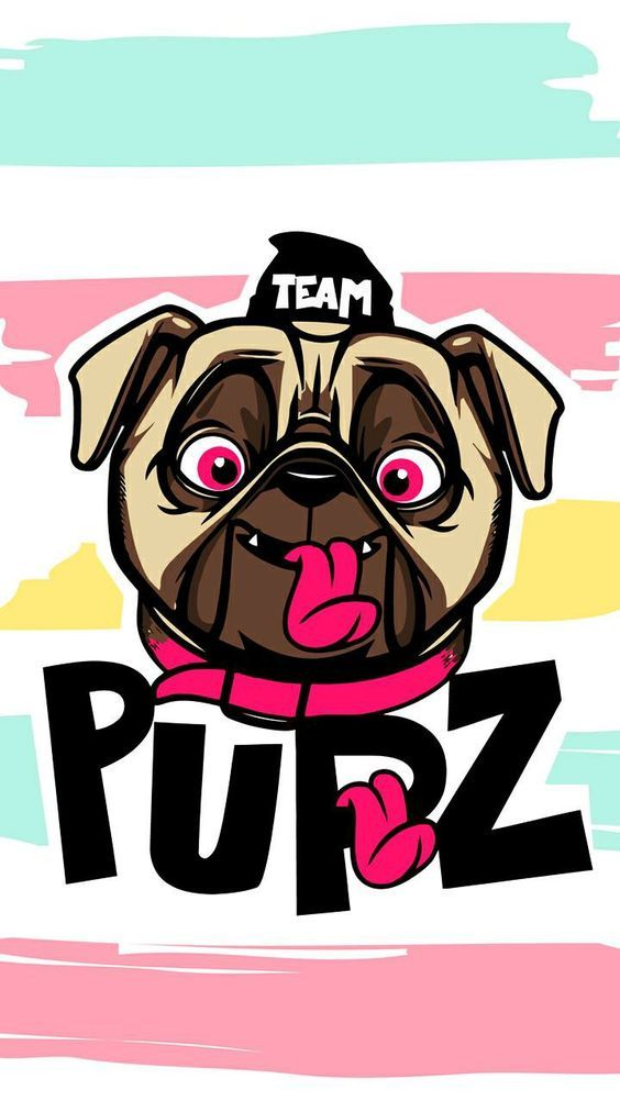 cute pug backgrounds 0062