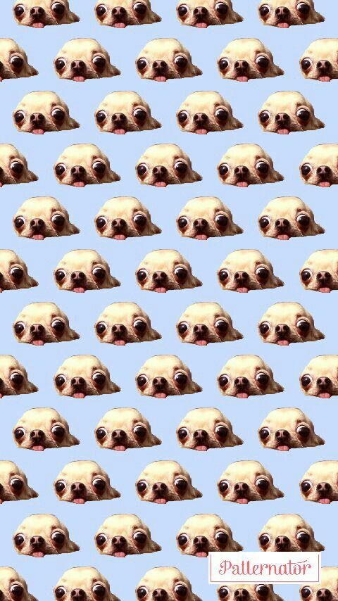 cute pug backgrounds 0070