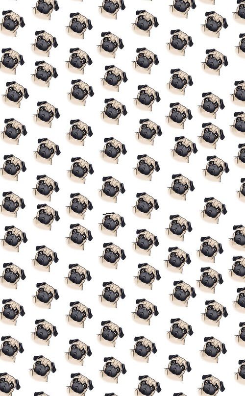 cute pug backgrounds 0091