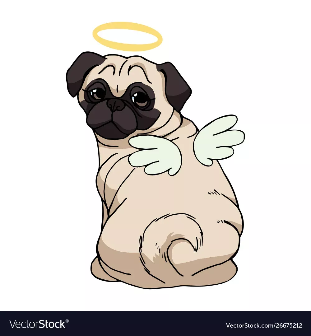 cute pug wallpaper designs