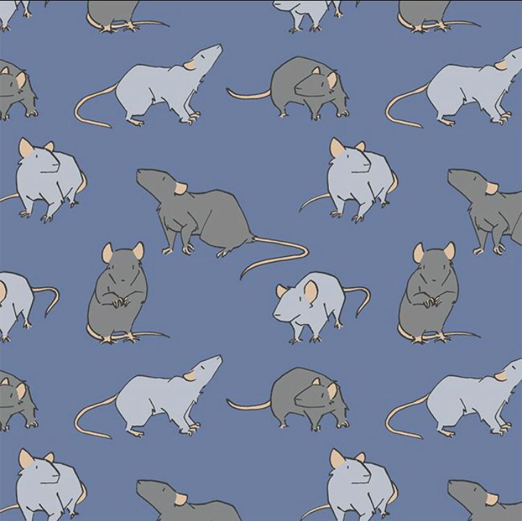 cute rat backgrounds 0042