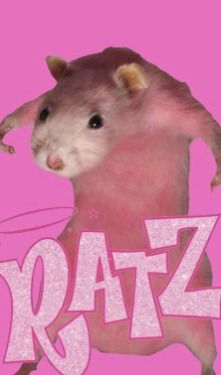 cute rat backgrounds 0045