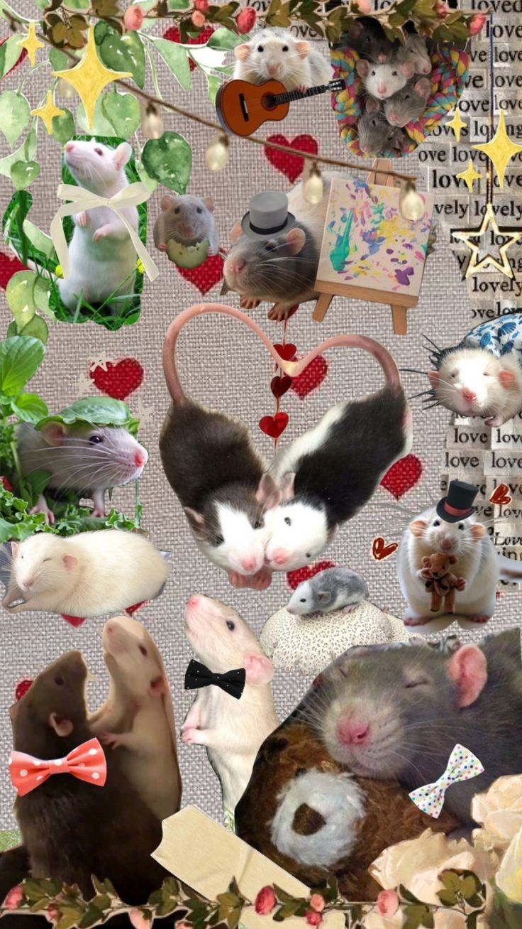 cute rat backgrounds 0051