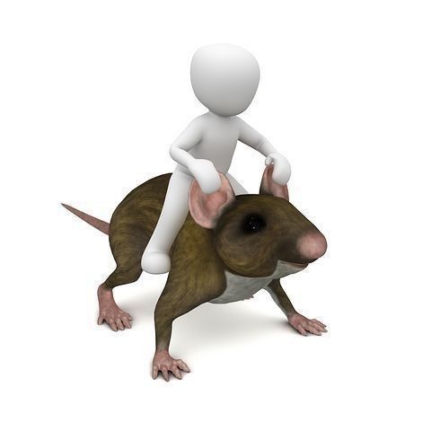 cute rat backgrounds 0057