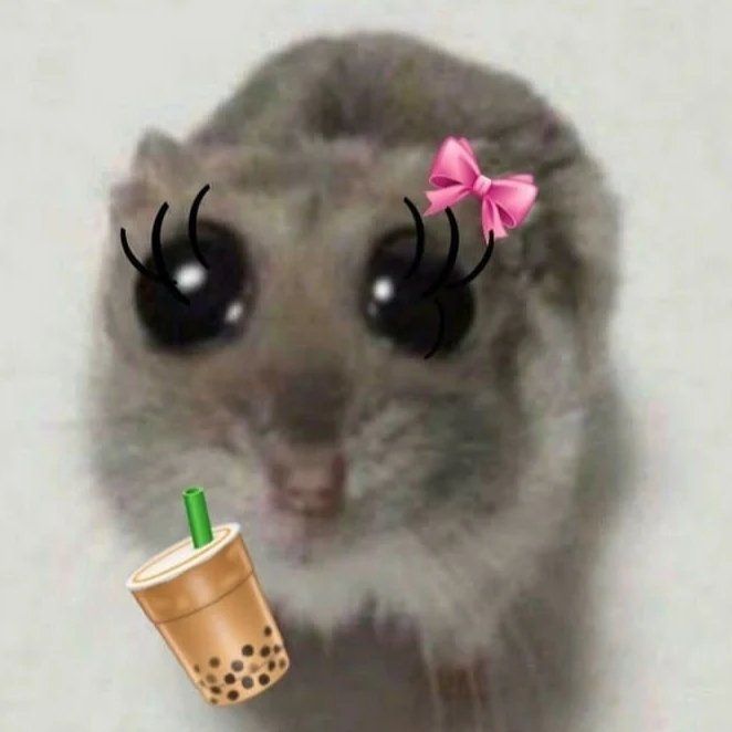 cute rat backgrounds 0062