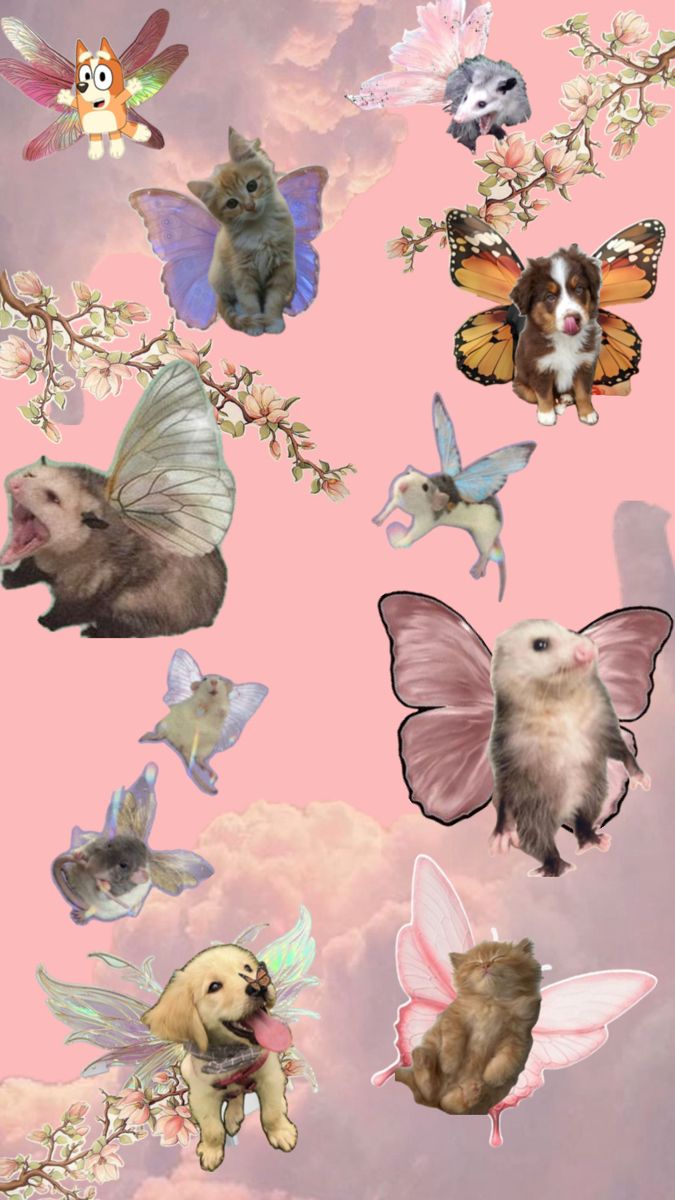 cute rat backgrounds 0064