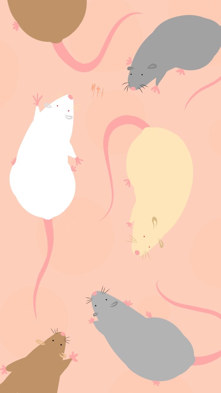 cute rat backgrounds 0075