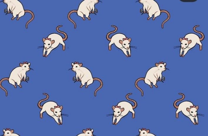 cute rat backgrounds 0079