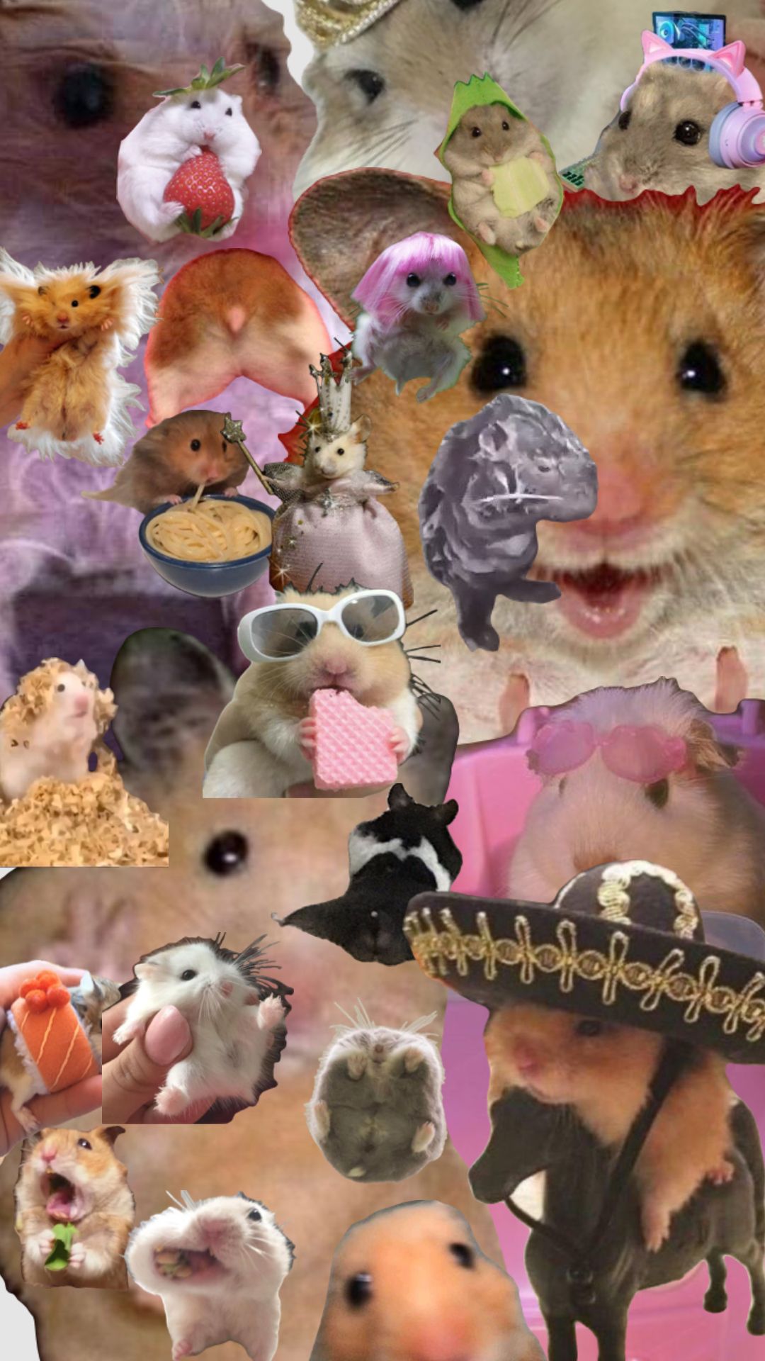 cute rat backgrounds 0081