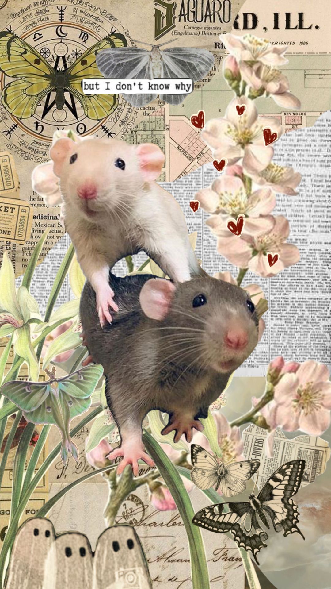 cute rat patterns for creative projects.