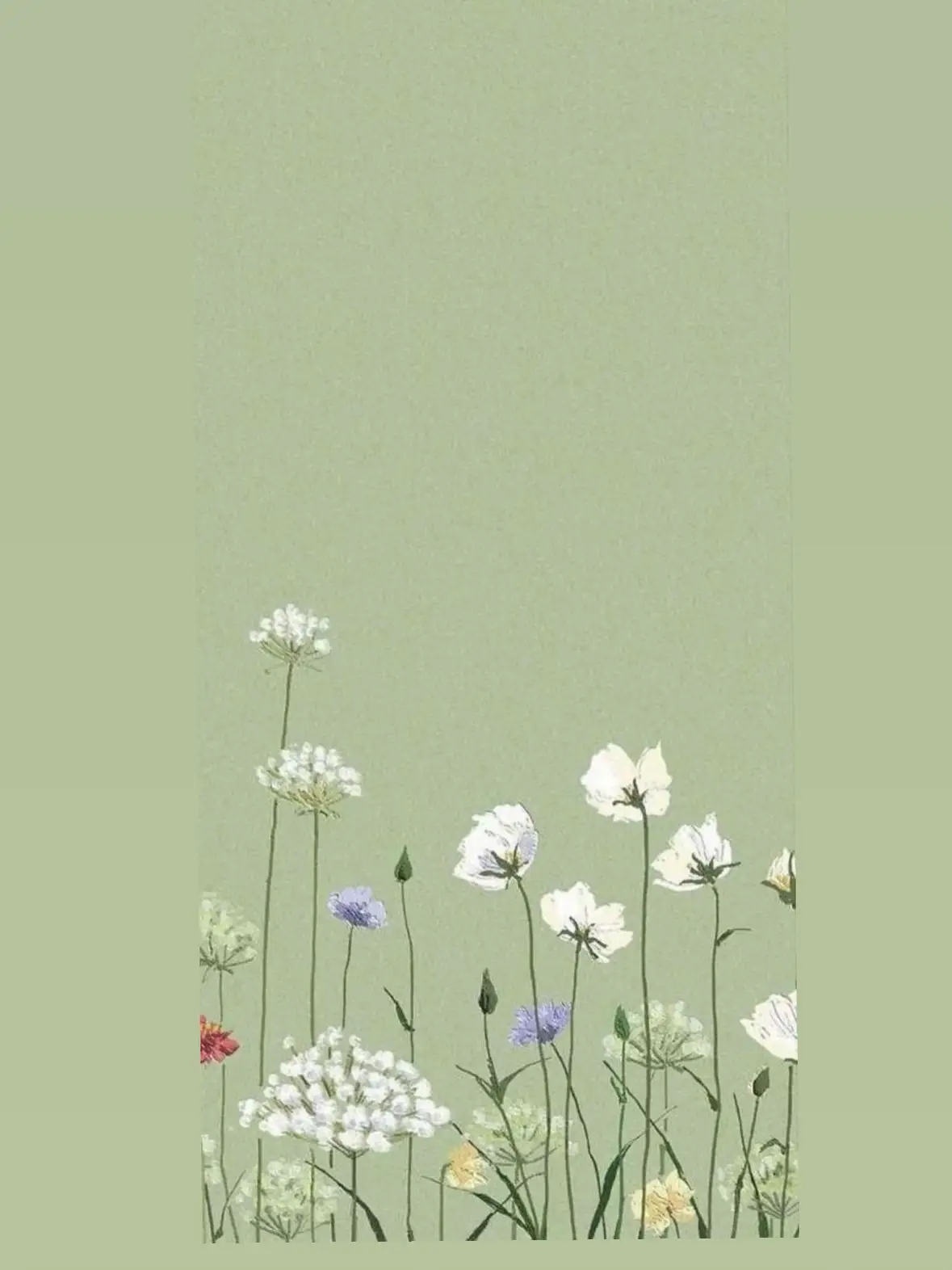 cute sage green backgrounds 0011