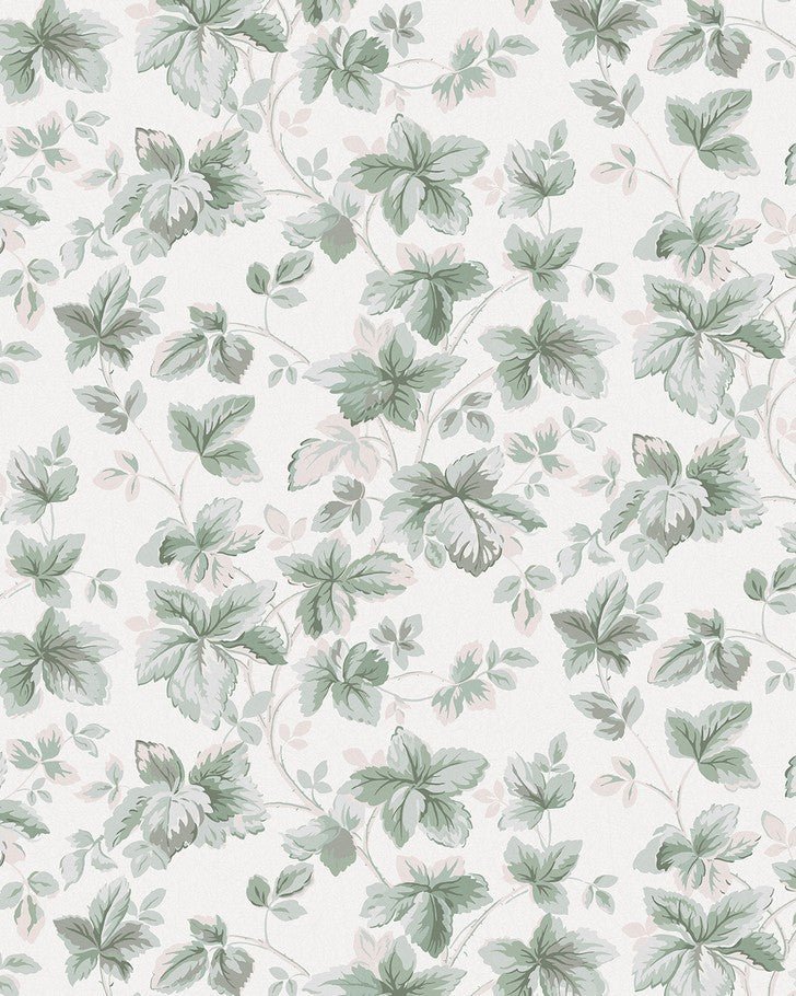 cute sage green backgrounds 0012