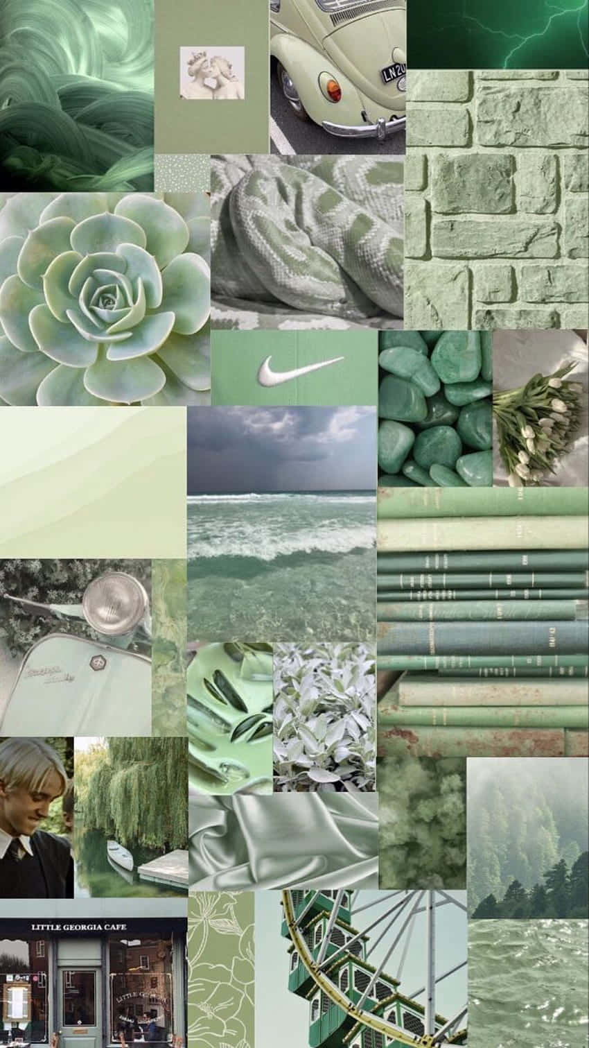 cute sage green backgrounds 0018