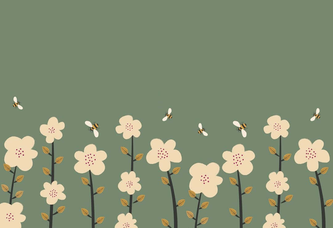 cute sage green backgrounds 0025