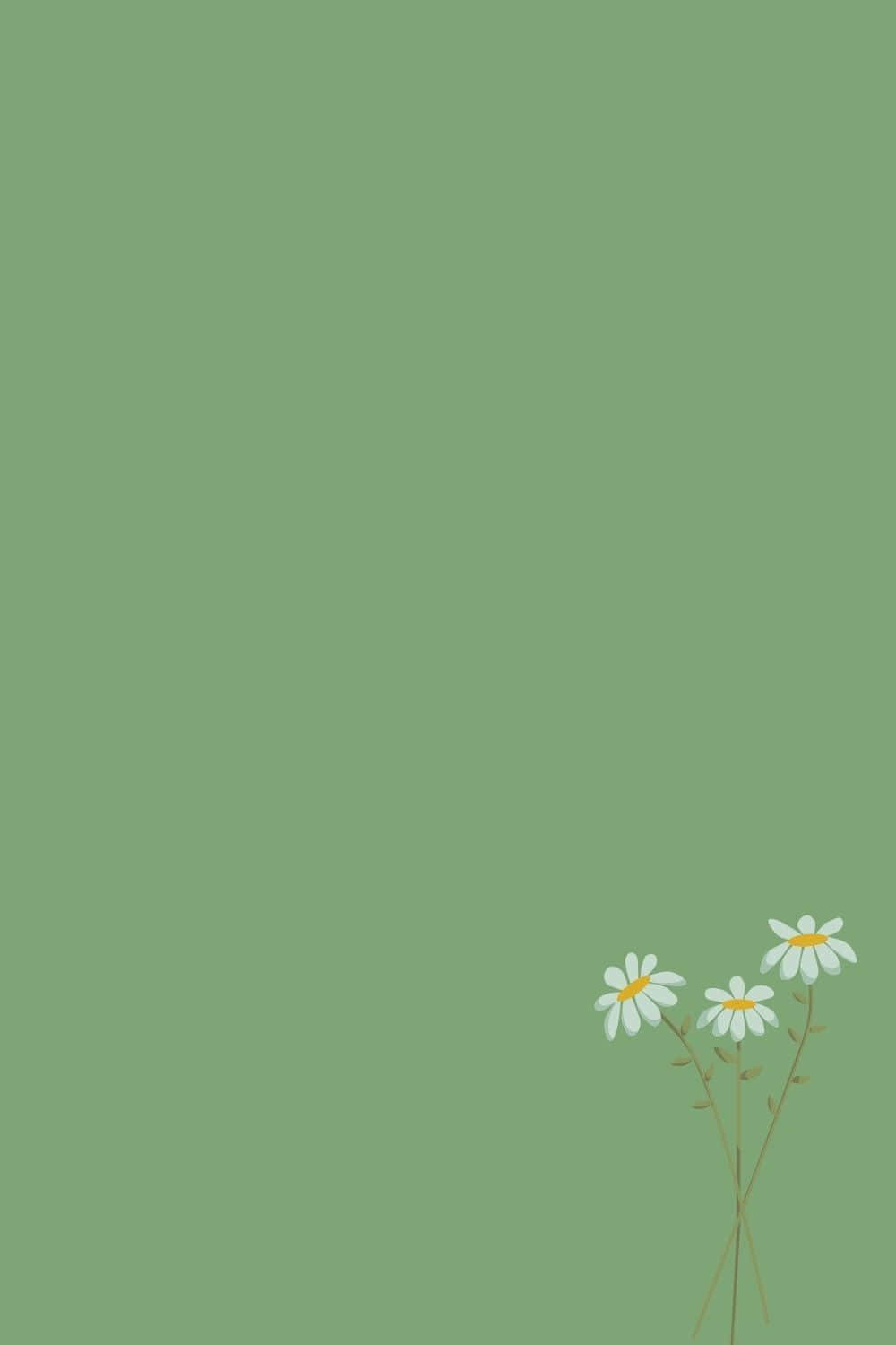 cute sage green backgrounds 0034