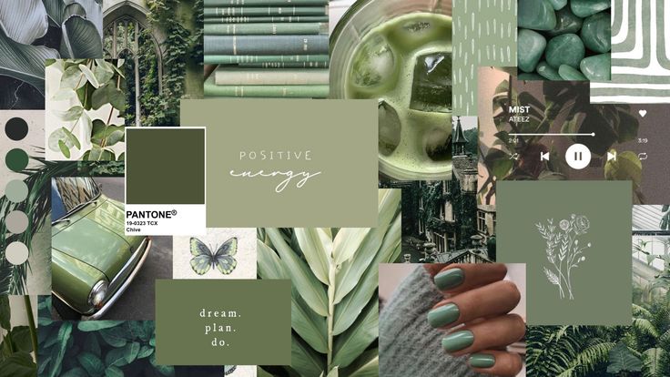 cute sage green backgrounds 0039