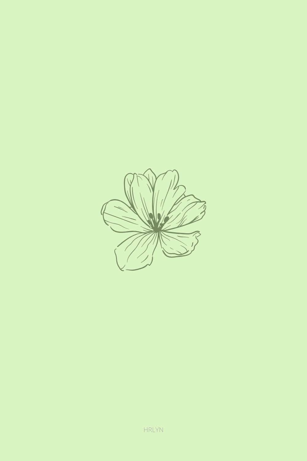 cute sage green backgrounds 0040