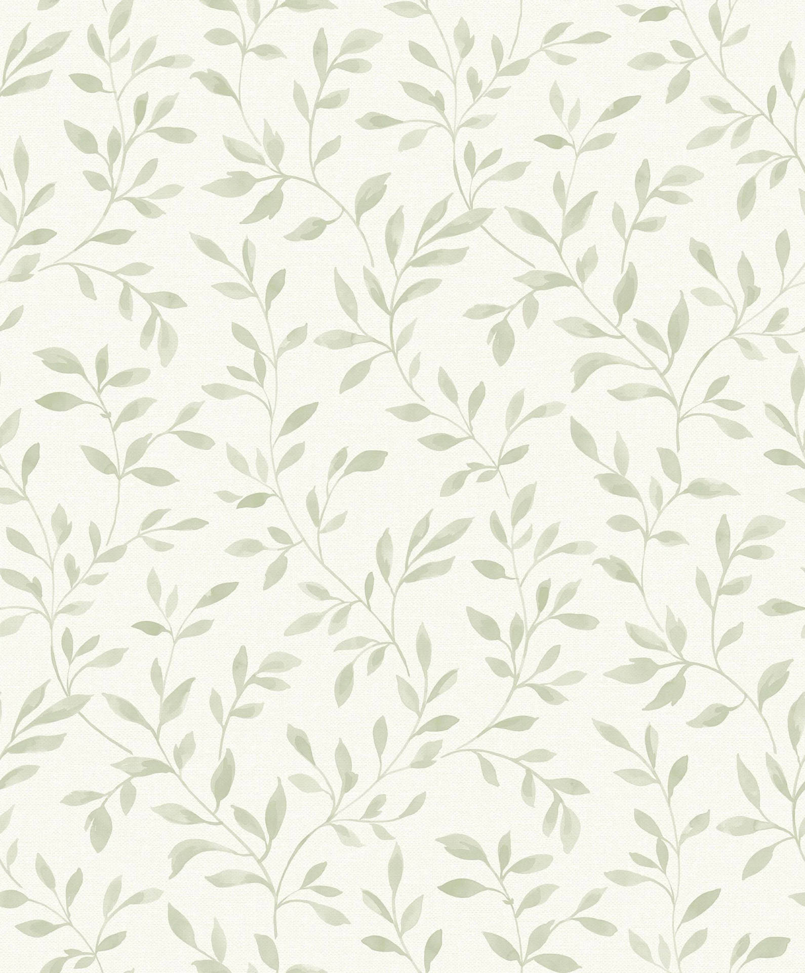 cute sage green backgrounds 0050