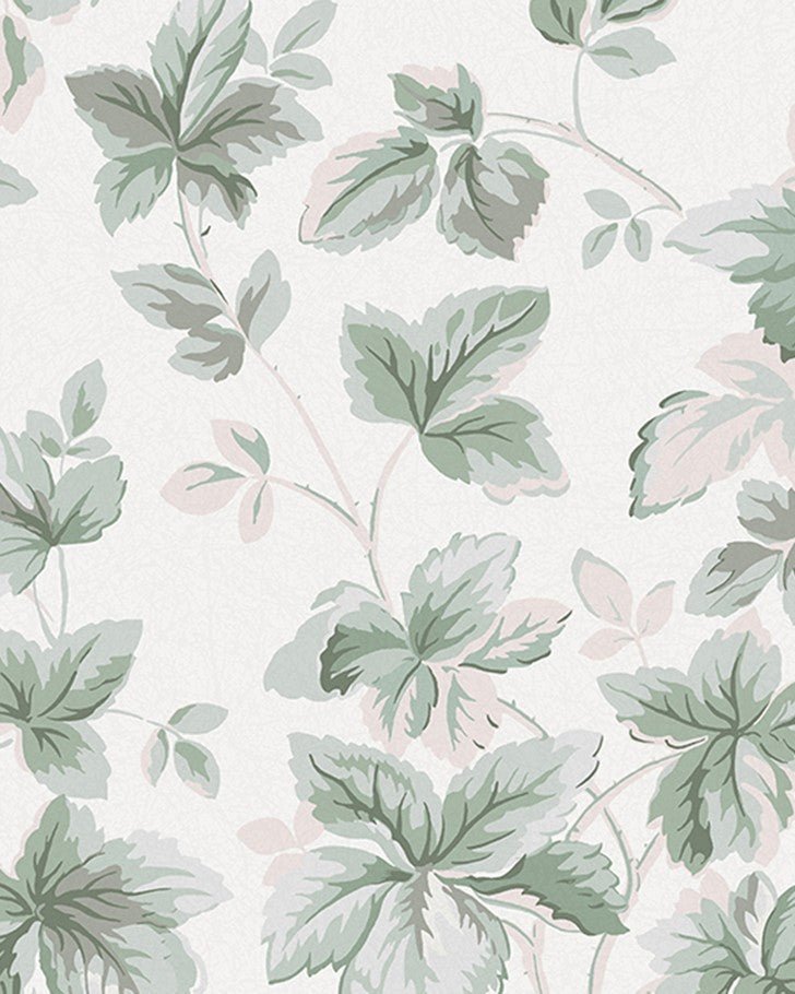 cute sage green backgrounds 0052