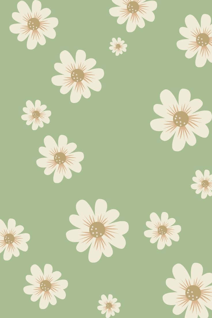 cute sage green backgrounds 0066