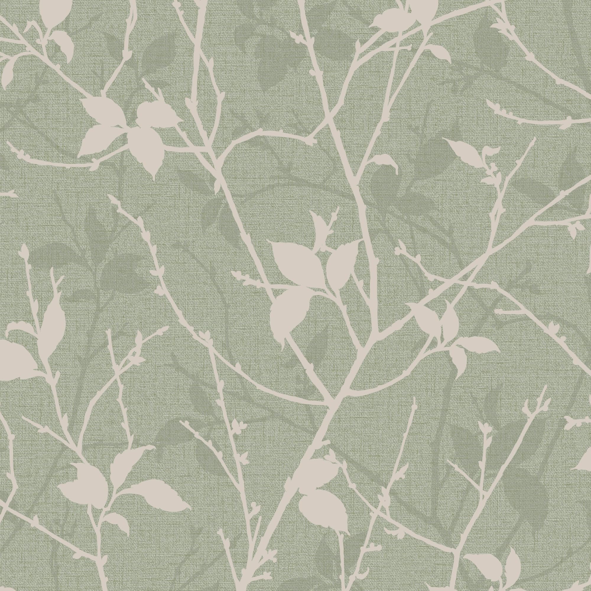 cute sage green backgrounds 0072