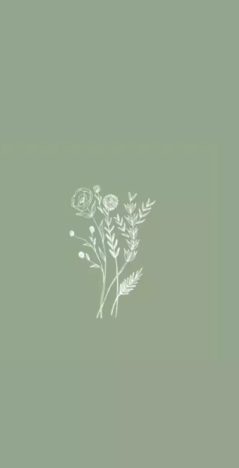 cute sage green backgrounds 0076