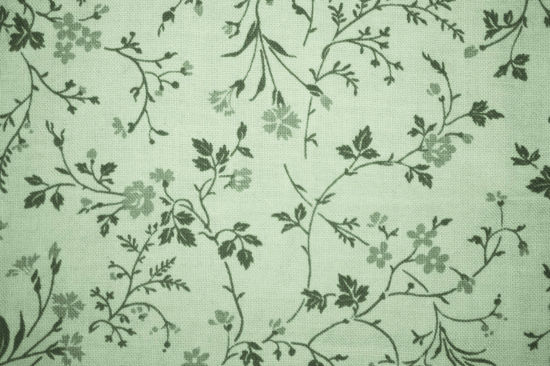 cute sage green backgrounds 0077