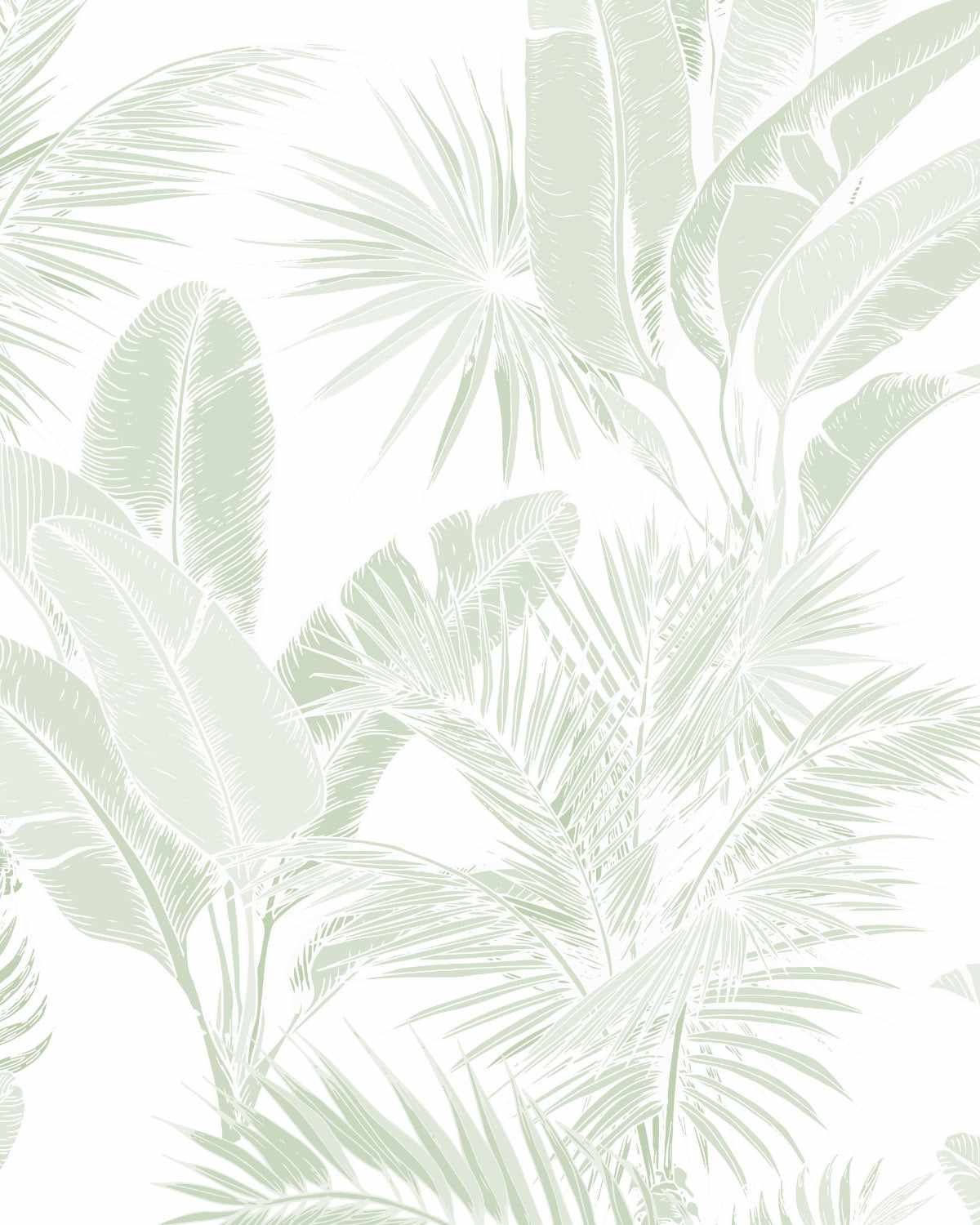 cute sage green backgrounds 0084