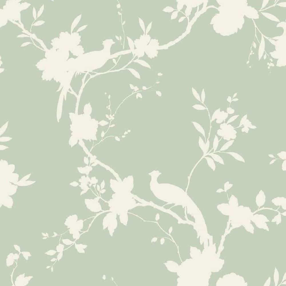 cute sage green backgrounds 0086