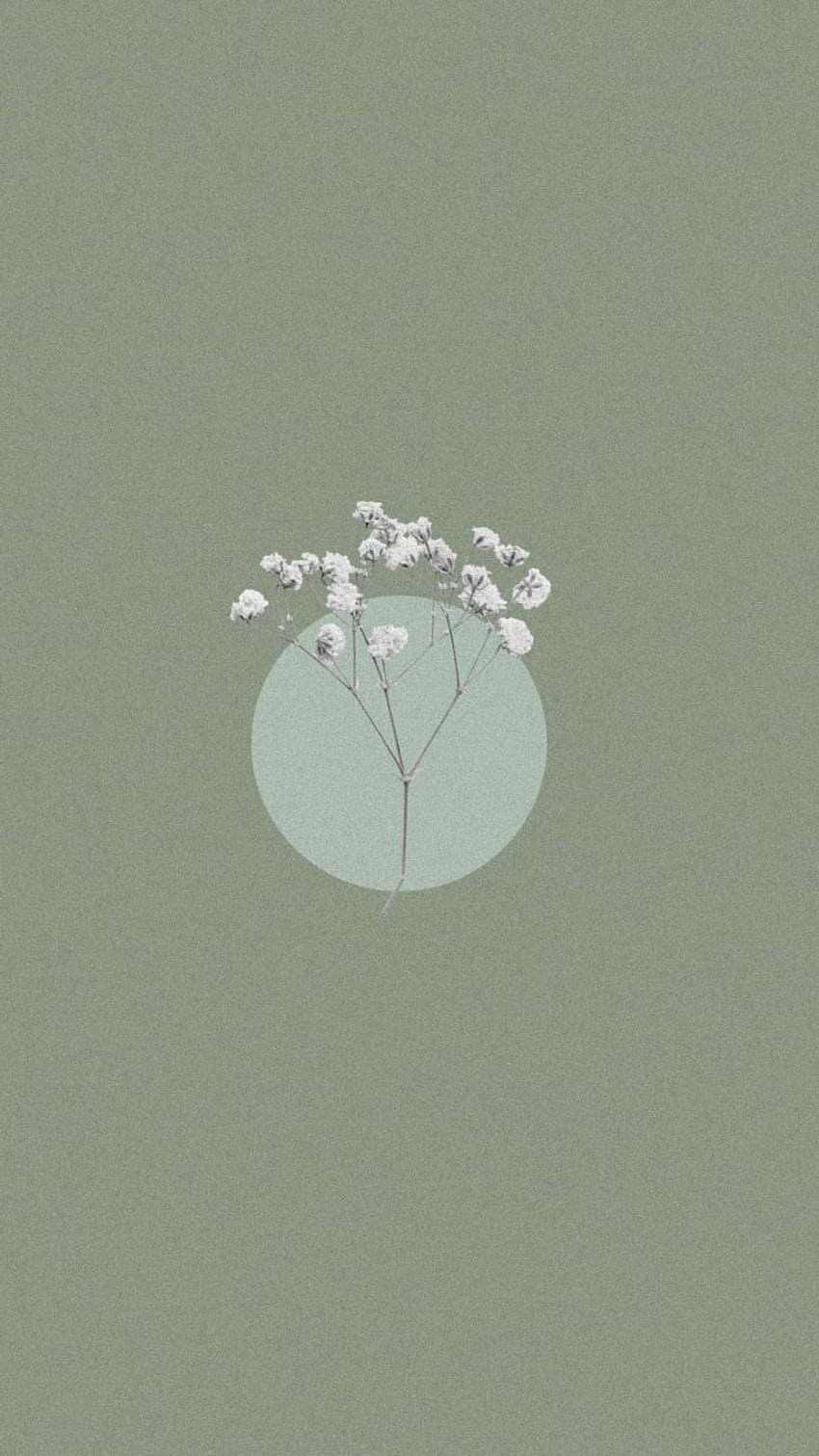 cute sage green backgrounds 0091