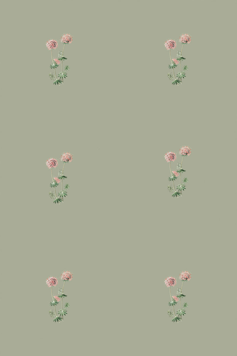 cute sage green backgrounds 0093