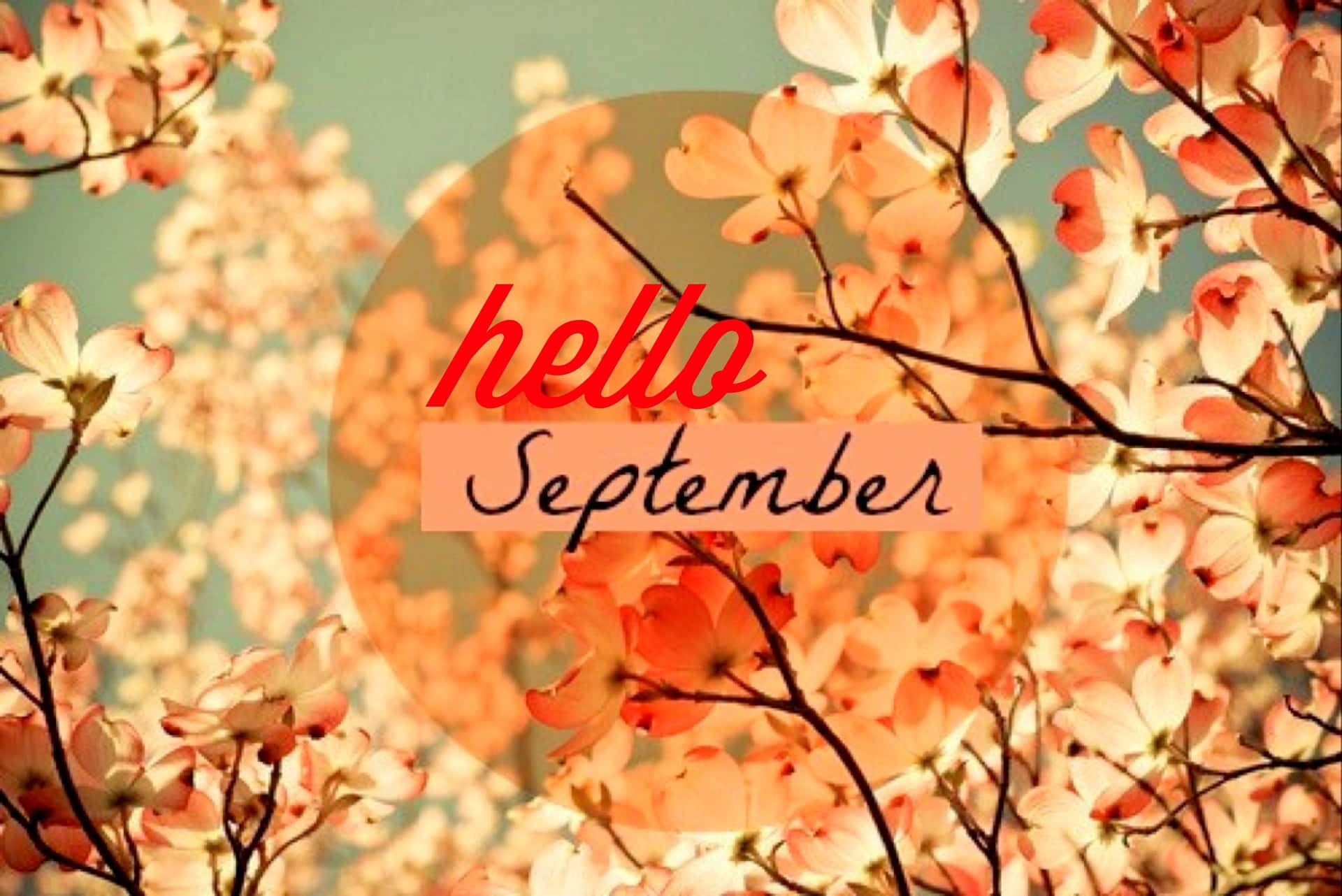 cute september backgrounds 0027