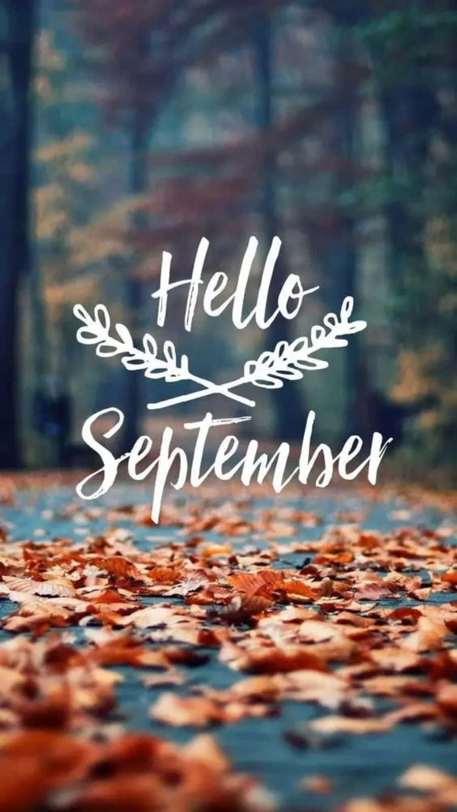 cute september backgrounds 0029