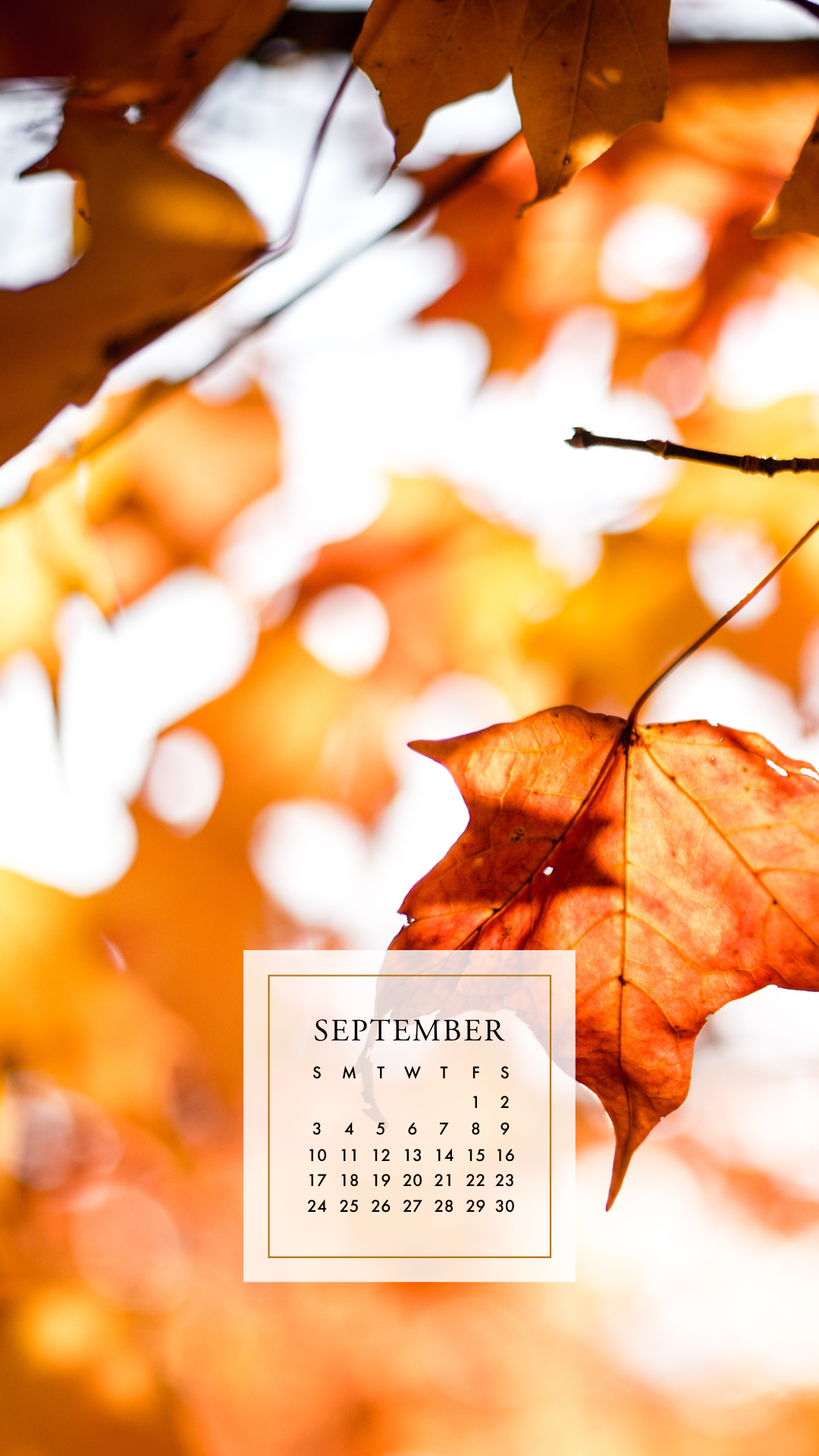 cute september backgrounds 0037