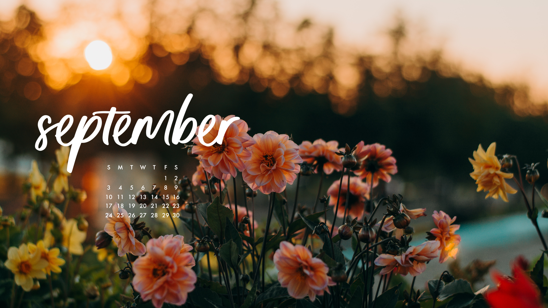 cute september backgrounds 0039