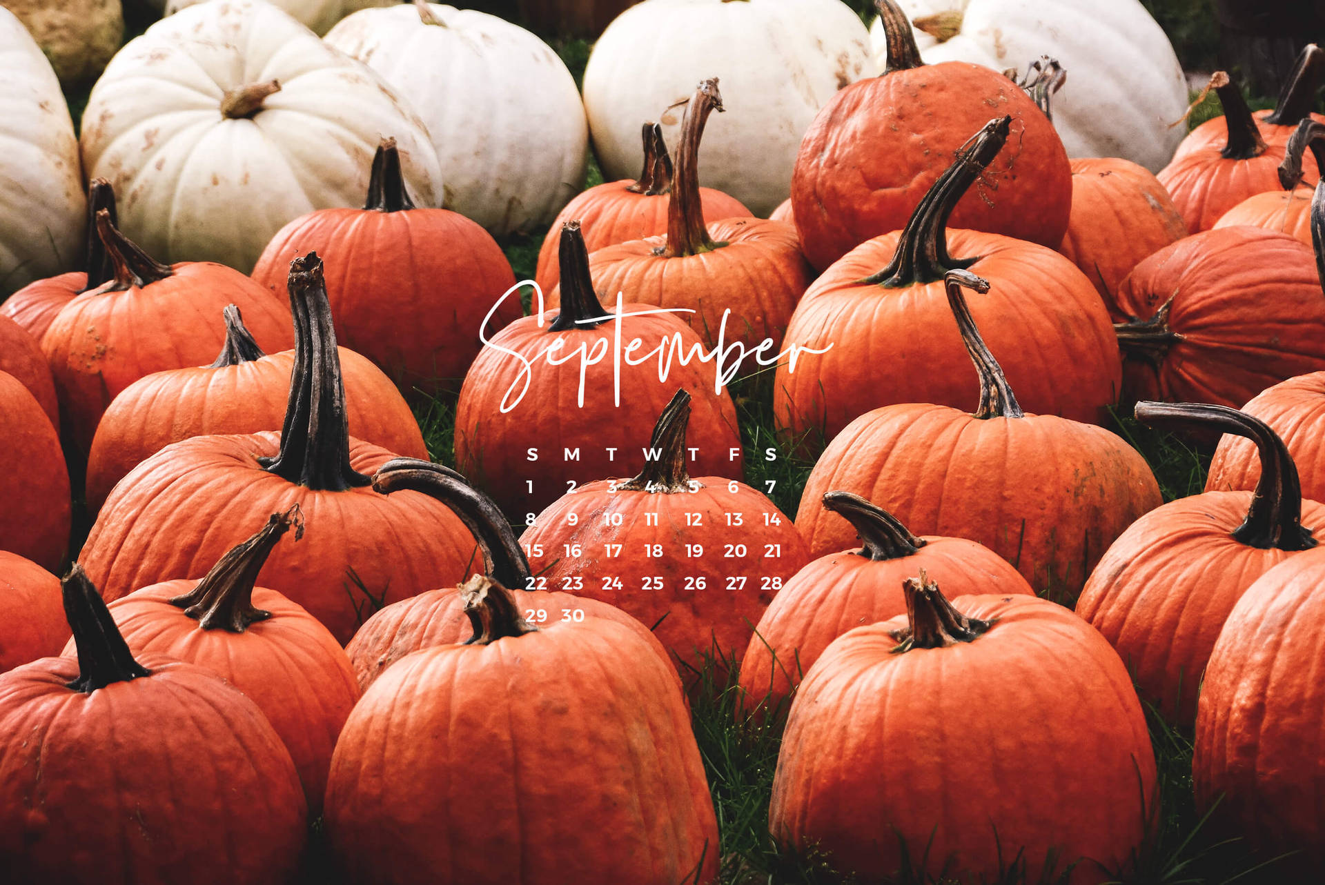 cute september backgrounds 0046