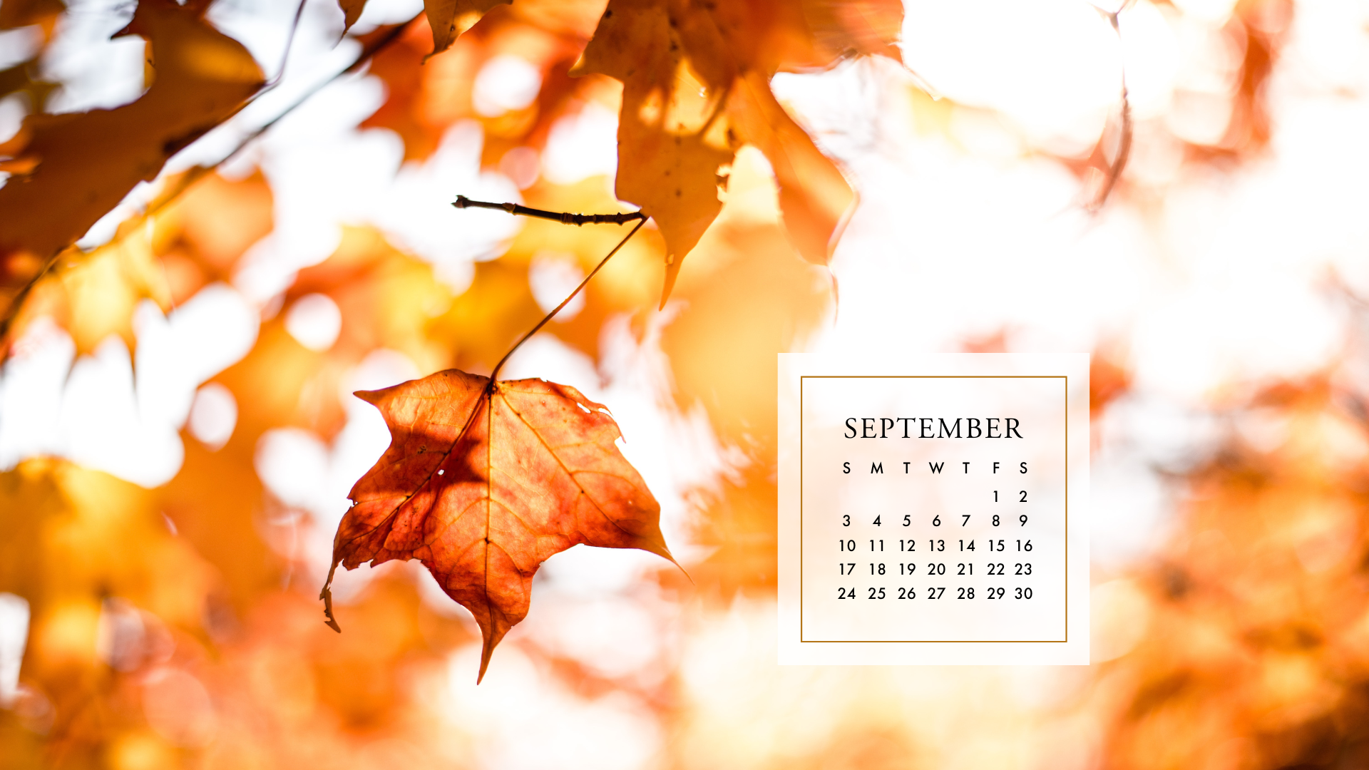 cute september backgrounds 0052