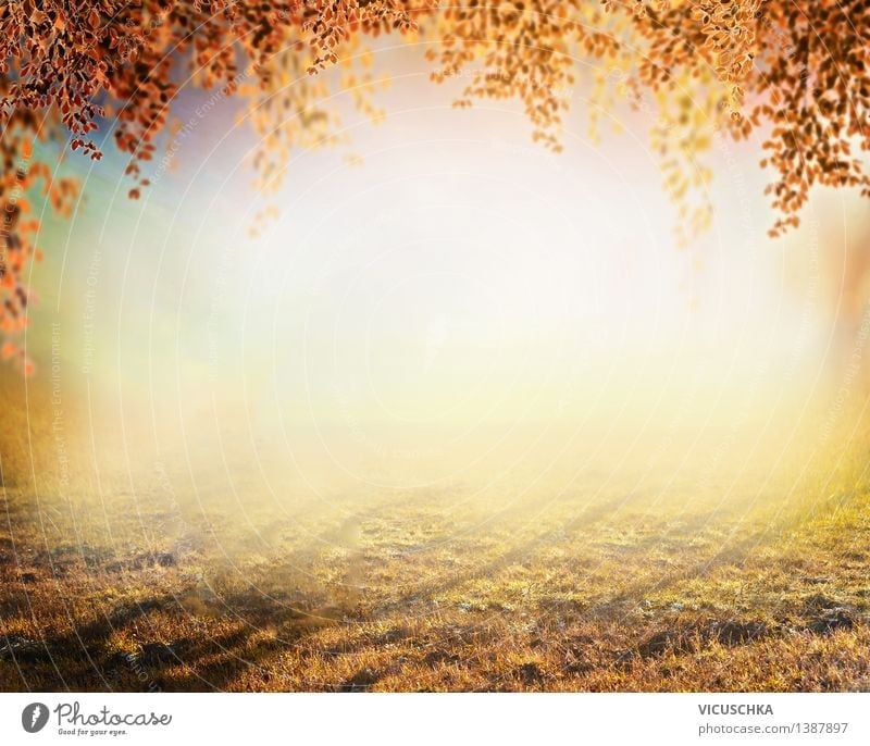 cute september backgrounds 0055