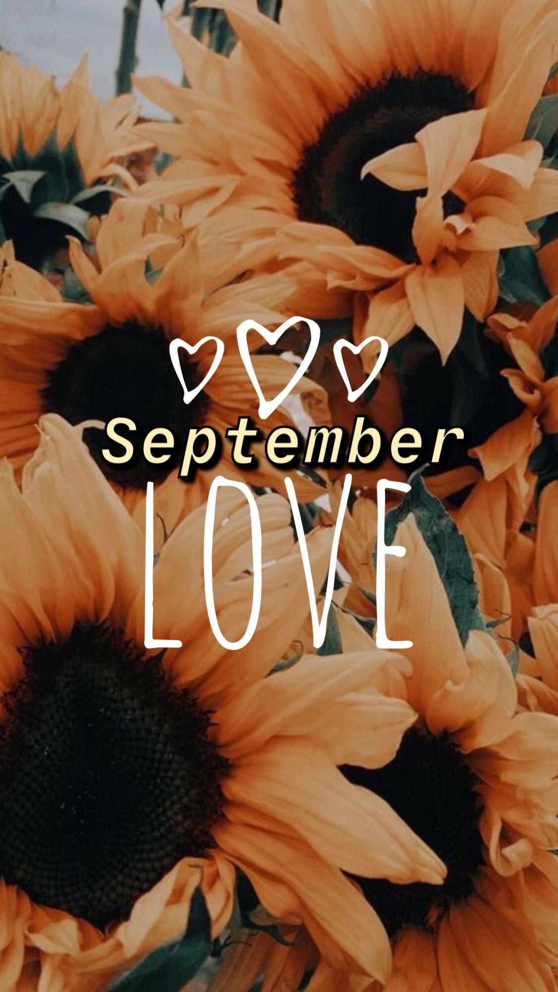 cute september backgrounds 0059