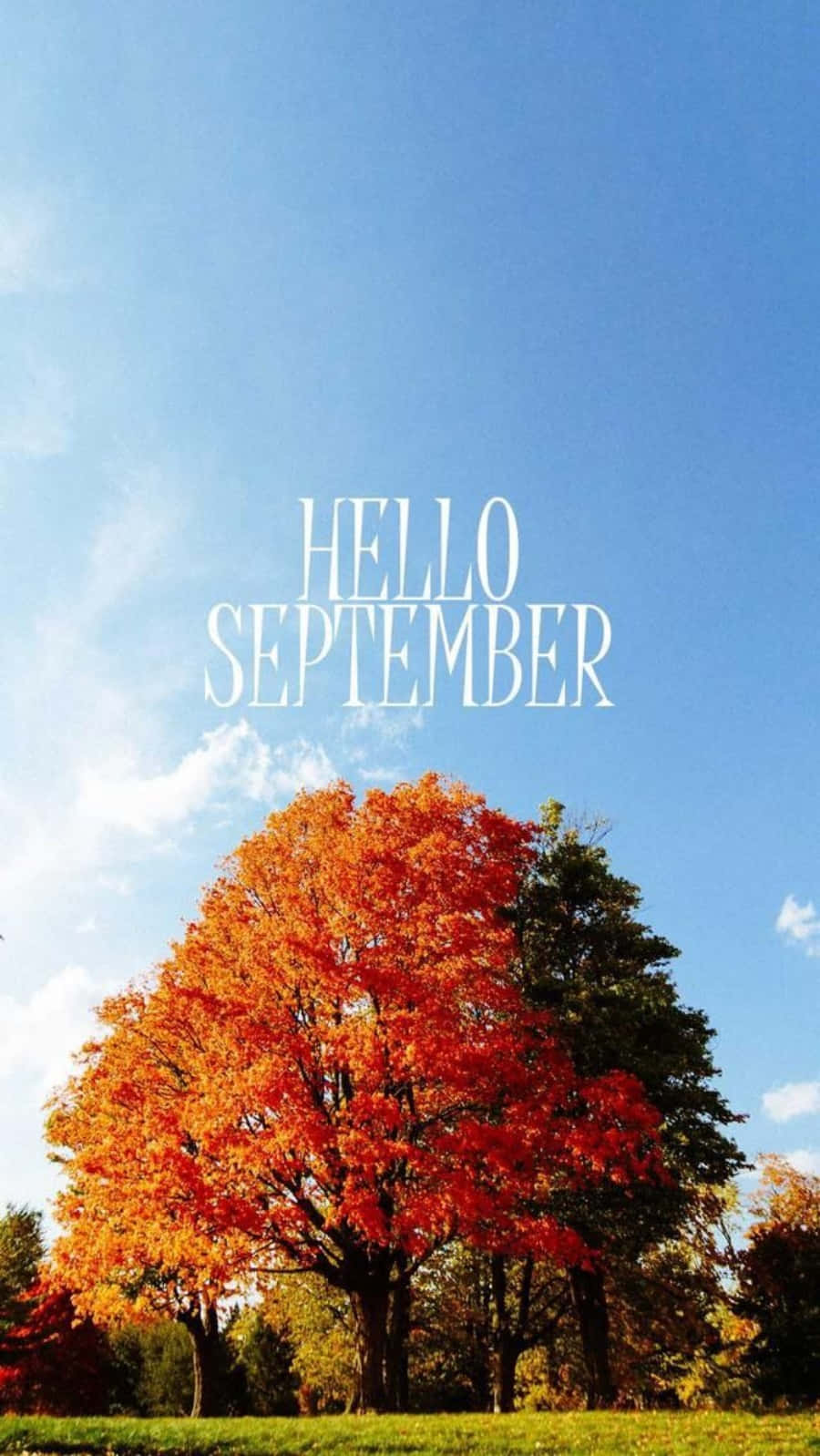 cute september backgrounds 0071