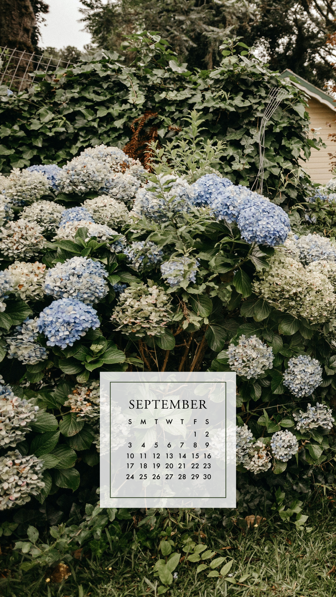 cute september backgrounds 0080