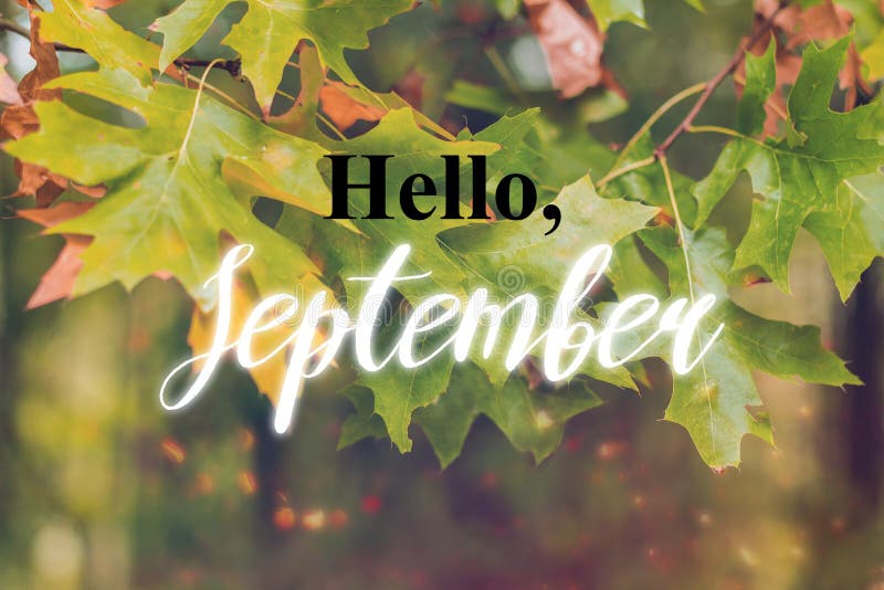 cute september backgrounds 0090