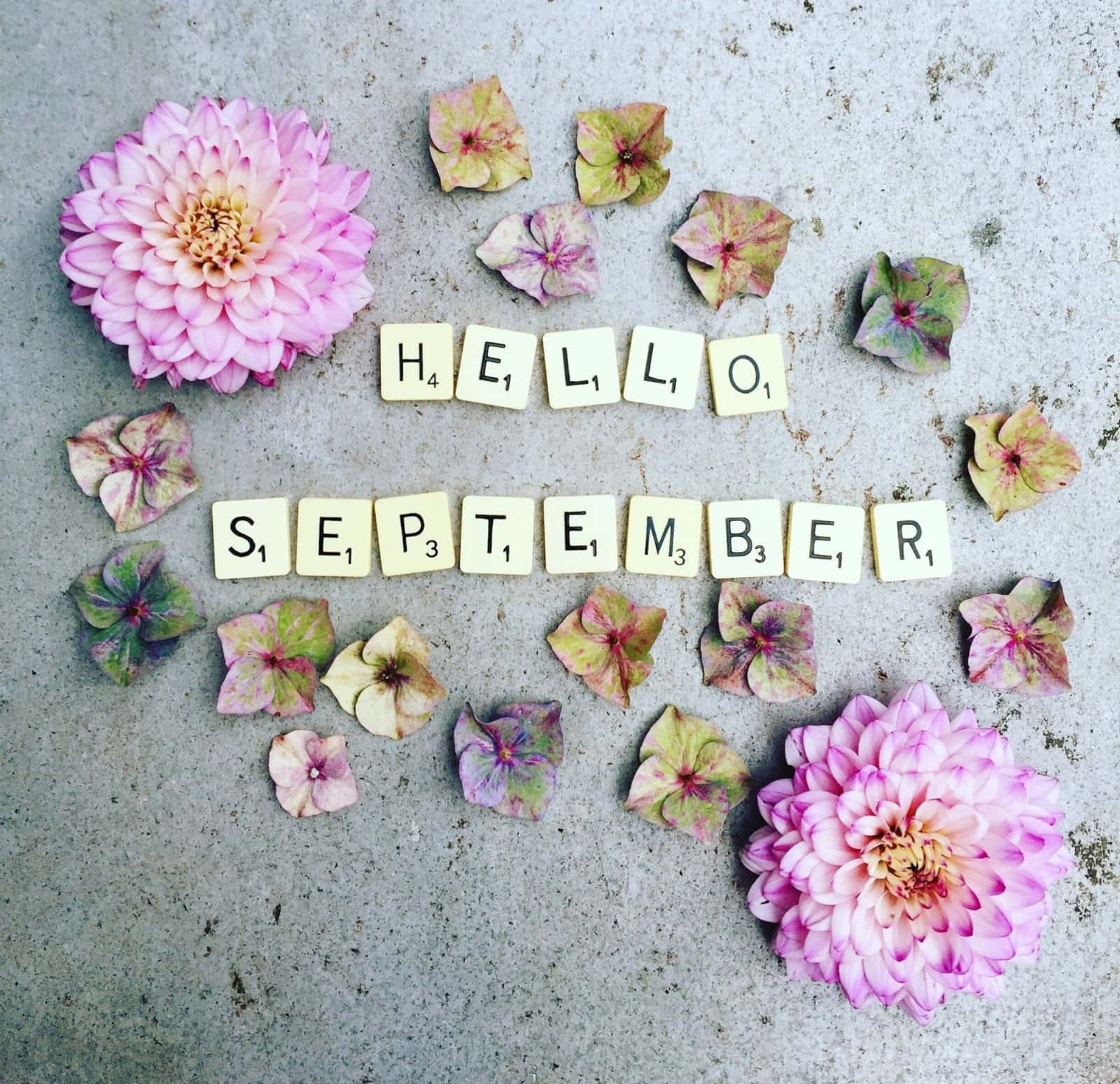 cute september backgrounds 0091