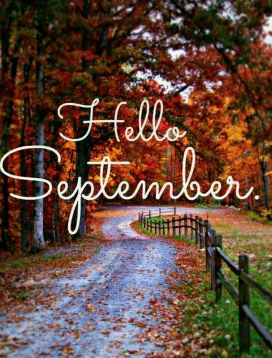 cute september backgrounds 0099