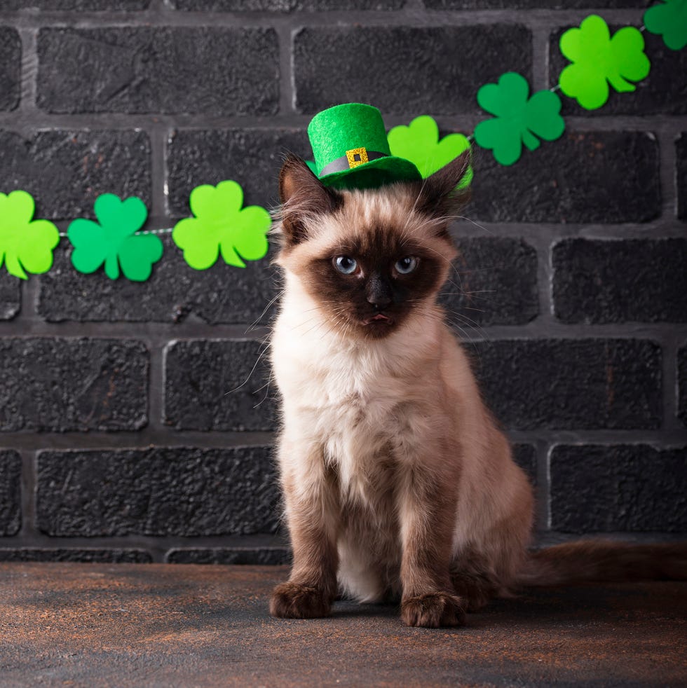 cute shamrock background 0073