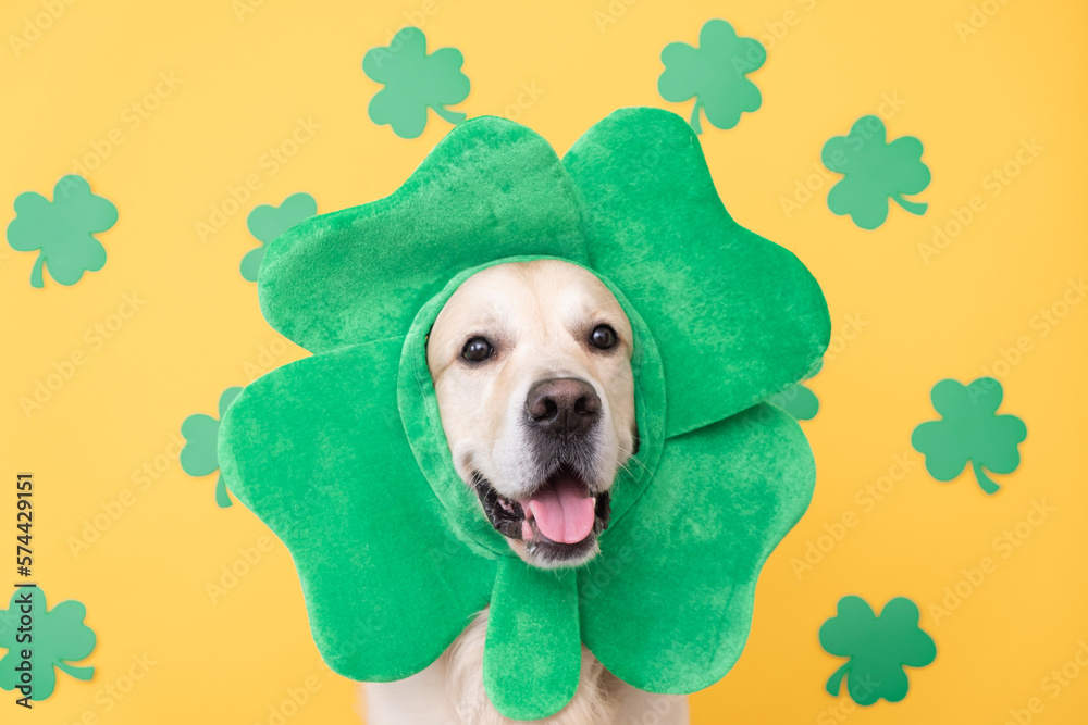 cute shamrock background 0096