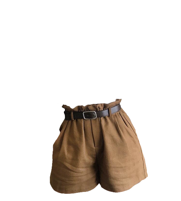 cute shorts transparent background 0056