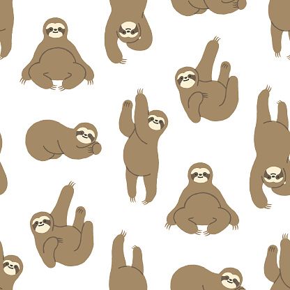 cute sloth backgrounds 0012